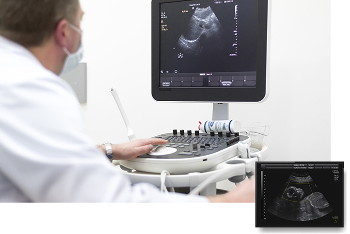 Ultrasound Display Panel