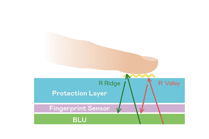 TFT Fingerprint Sensor
