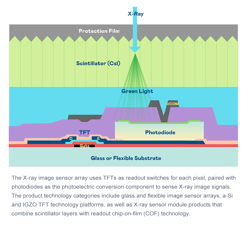 TFT X-Ray Sensor